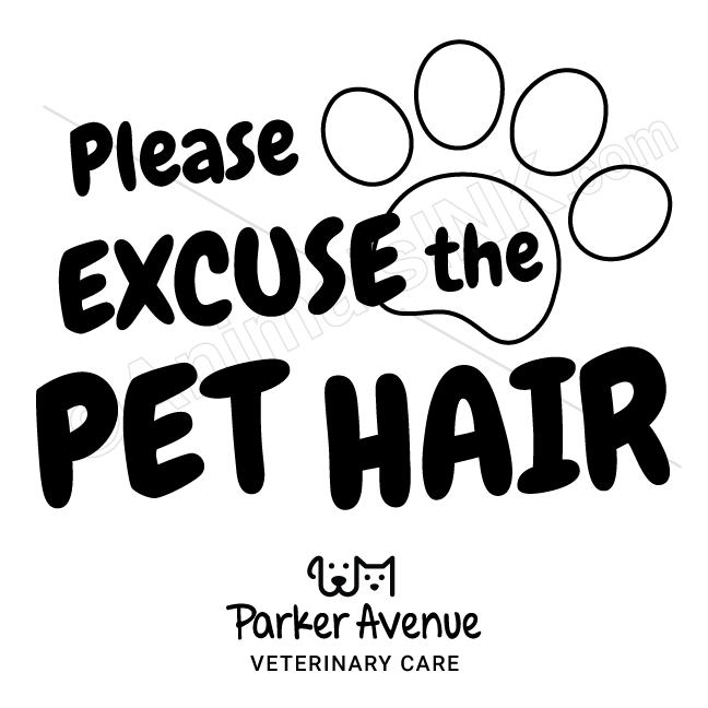 Pet Hair thumbnail