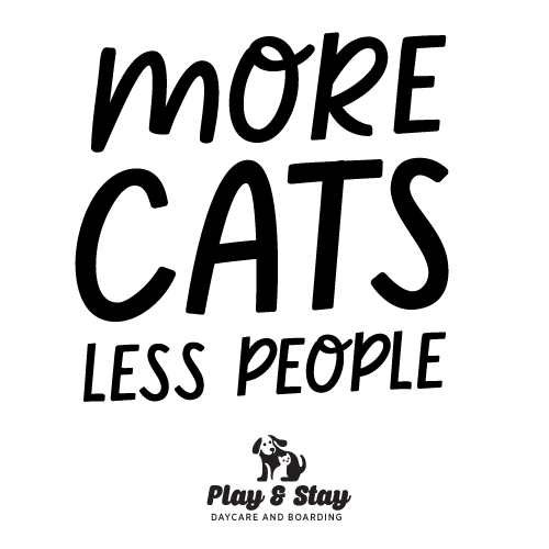 MORE CATS less people thumbnail