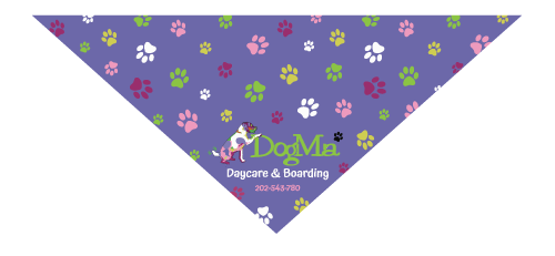 Colorful Paws thumbnail