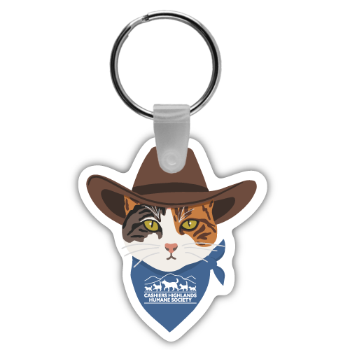 Cat with Cowboy Hat and Bandana thumbnail