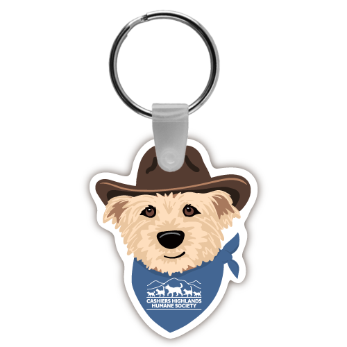 Dog with Cowboy Hat and Bandana thumbnail