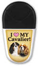 Cavalier King Charles thumbnail