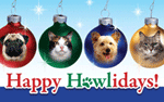 Happy Howlidays thumbnail