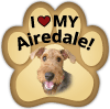 Airedale thumbnail