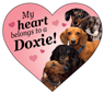 Dachshund thumbnail