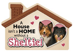 Sheltie thumbnail