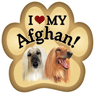 Afghan Hound thumbnail