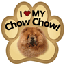 Chow Chow thumbnail