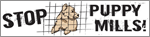 Stop Puppy Mills! thumbnail