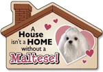 Maltese thumbnail