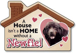 Newfie thumbnail