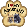 Amstaff thumbnail