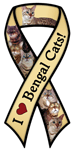Bengal Cats thumbnail