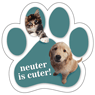 Neuter is Cuter! thumbnail