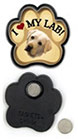 Lab - Yellow thumbnail