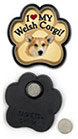 Welsh Corgi thumbnail