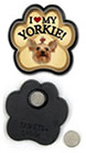 Yorkie thumbnail
