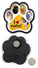 Cats thumbnail