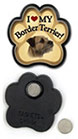 Border Terrier thumbnail