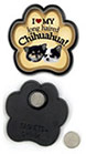 Chihuahua - long hair thumbnail
