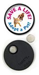 Save a Life - Adopt A Pet! thumbnail