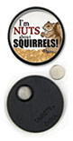 I'm nuts about Squirrels! thumbnail