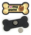 Pomeranian thumbnail