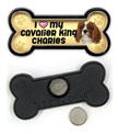 Cavalier King Charles thumbnail