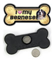 Bernese Mountain Dog thumbnail