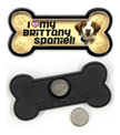 Brittany Spaniel thumbnail