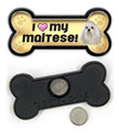 Maltese thumbnail