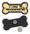 Havanese thumbnail