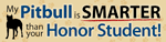 Pitbull /Honor Student thumbnail