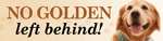 No Golden Left Behind thumbnail