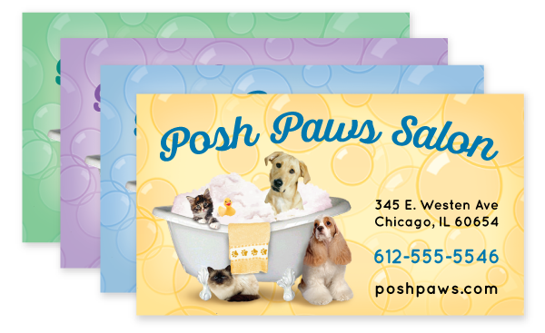Pets in Tub (Dogs & Cats) thumbnail
