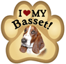 Basset Hound thumbnail