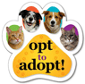 Opt to Adopt! thumbnail