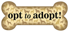 Opt to Adopt! thumbnail