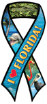 Florida thumbnail