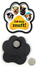 Mutt thumbnail
