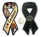 Cavalier King Charles thumbnail