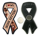 Irish Setter thumbnail