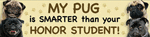 Pug/Honor Student thumbnail