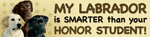 Labrador/Honor Student thumbnail