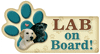 Lab on Board! thumbnail