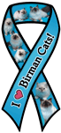 Birman Cats thumbnail