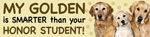 Golden/Honor Student thumbnail