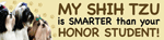 Shih Tzu/Honor Student thumbnail