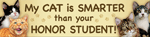 Cat/Honor Student thumbnail
