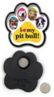 Pit Bull thumbnail